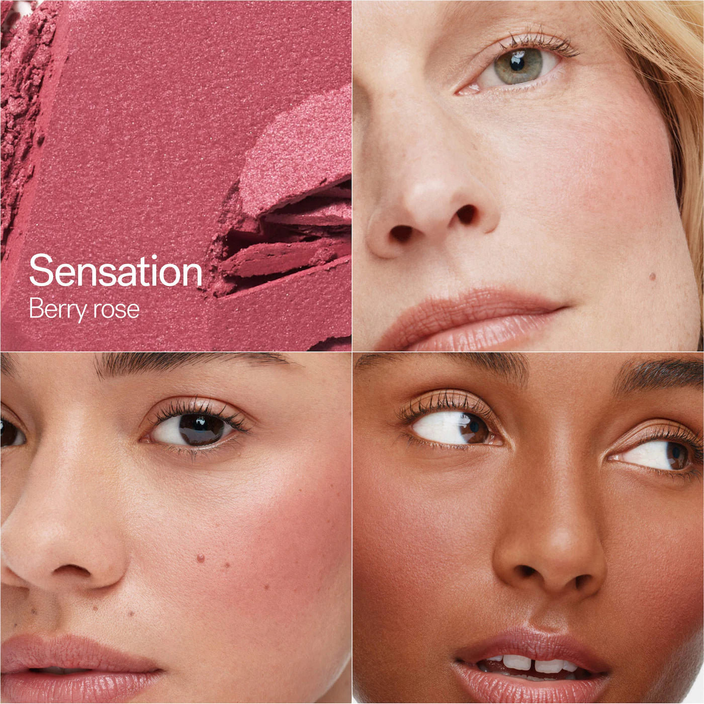 Sensation - berry rose